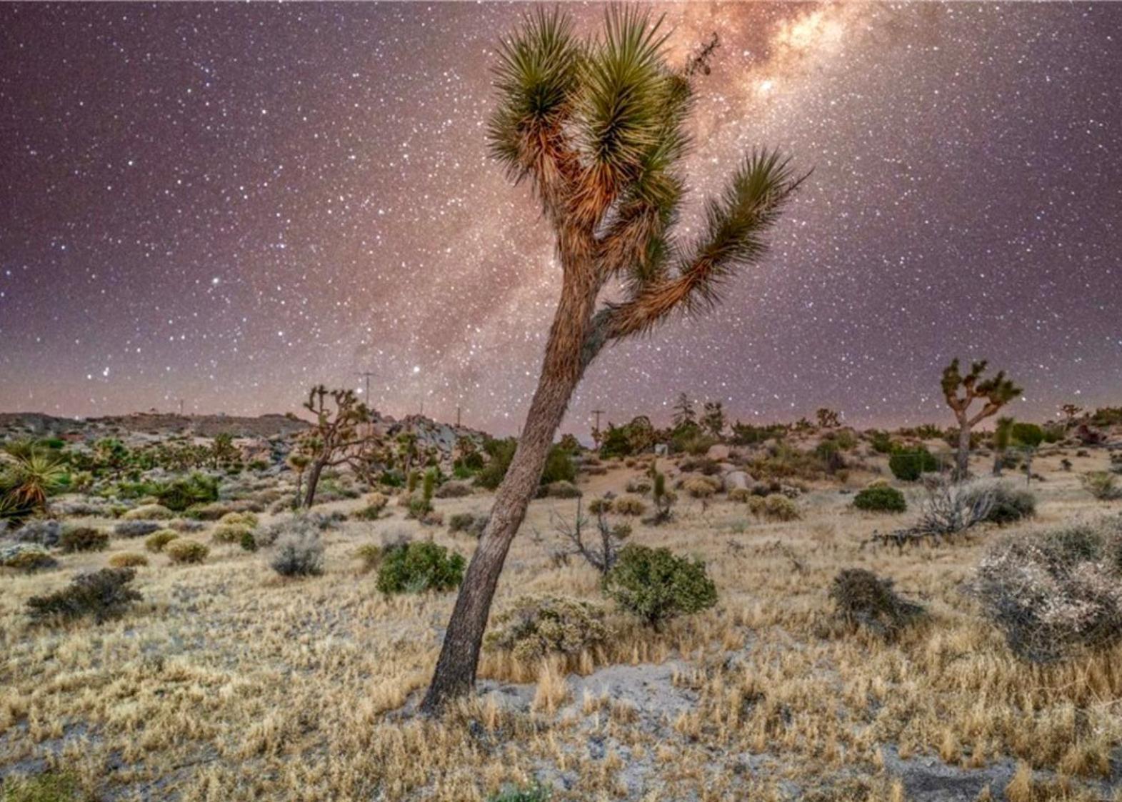 Twin Palms Desert Getaway - Jacuzzi, Fire Pit, Meditation Room & More Joshua Tree Luaran gambar